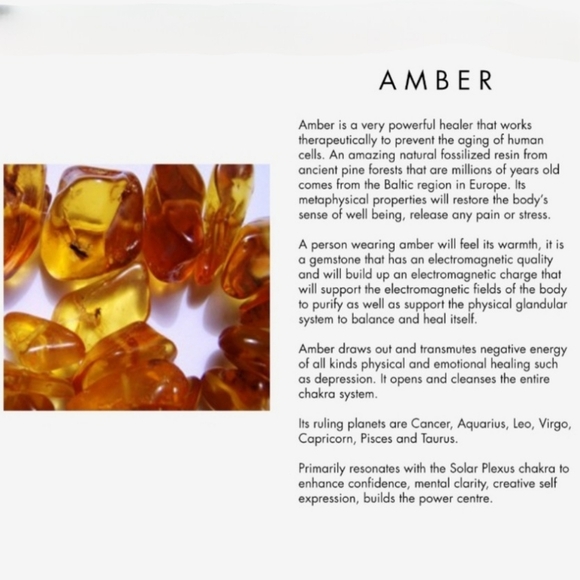 🧡 Learn About Amber 💛 - Picture 16 of 16